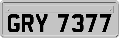 GRY7377