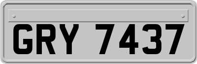 GRY7437
