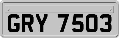 GRY7503