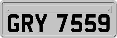 GRY7559