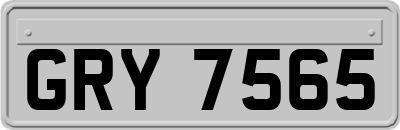 GRY7565