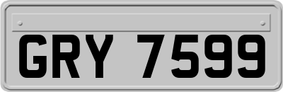 GRY7599