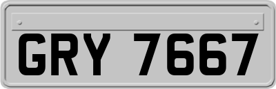 GRY7667