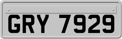 GRY7929