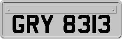 GRY8313