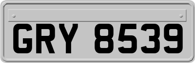 GRY8539
