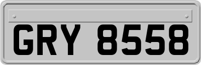 GRY8558