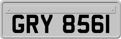 GRY8561