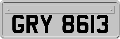 GRY8613