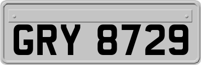 GRY8729