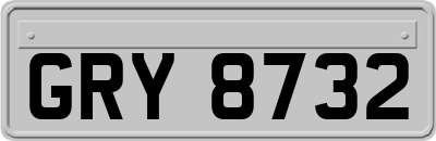 GRY8732