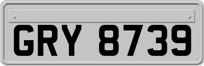GRY8739