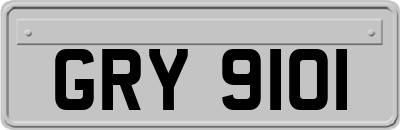 GRY9101