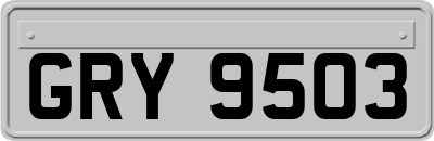 GRY9503