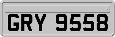 GRY9558
