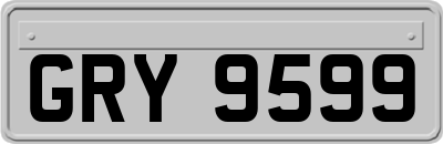 GRY9599