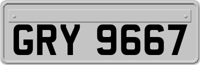 GRY9667