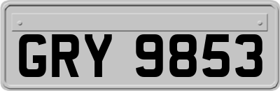 GRY9853