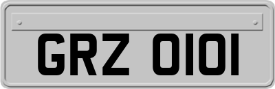 GRZ0101