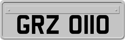 GRZ0110