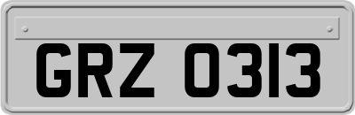 GRZ0313