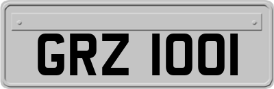 GRZ1001