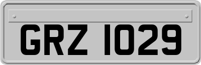 GRZ1029