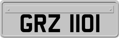 GRZ1101