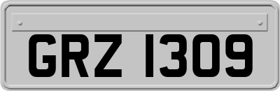 GRZ1309