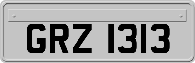 GRZ1313
