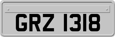 GRZ1318