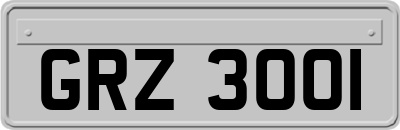 GRZ3001