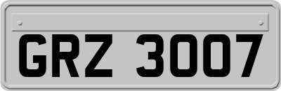GRZ3007