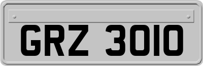 GRZ3010