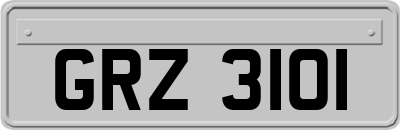 GRZ3101