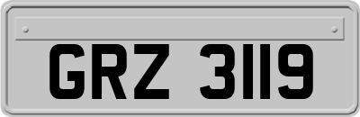 GRZ3119