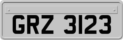 GRZ3123