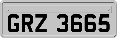 GRZ3665