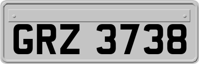 GRZ3738