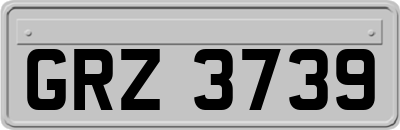 GRZ3739