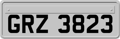 GRZ3823