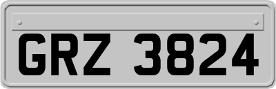GRZ3824