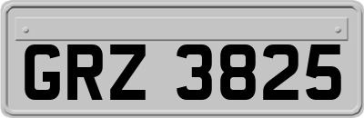 GRZ3825