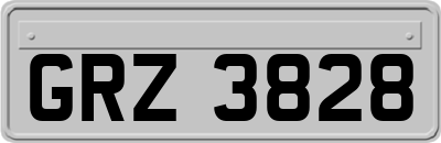 GRZ3828