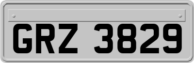 GRZ3829