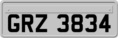 GRZ3834