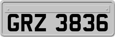 GRZ3836