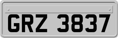 GRZ3837