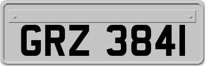 GRZ3841