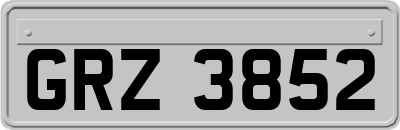 GRZ3852